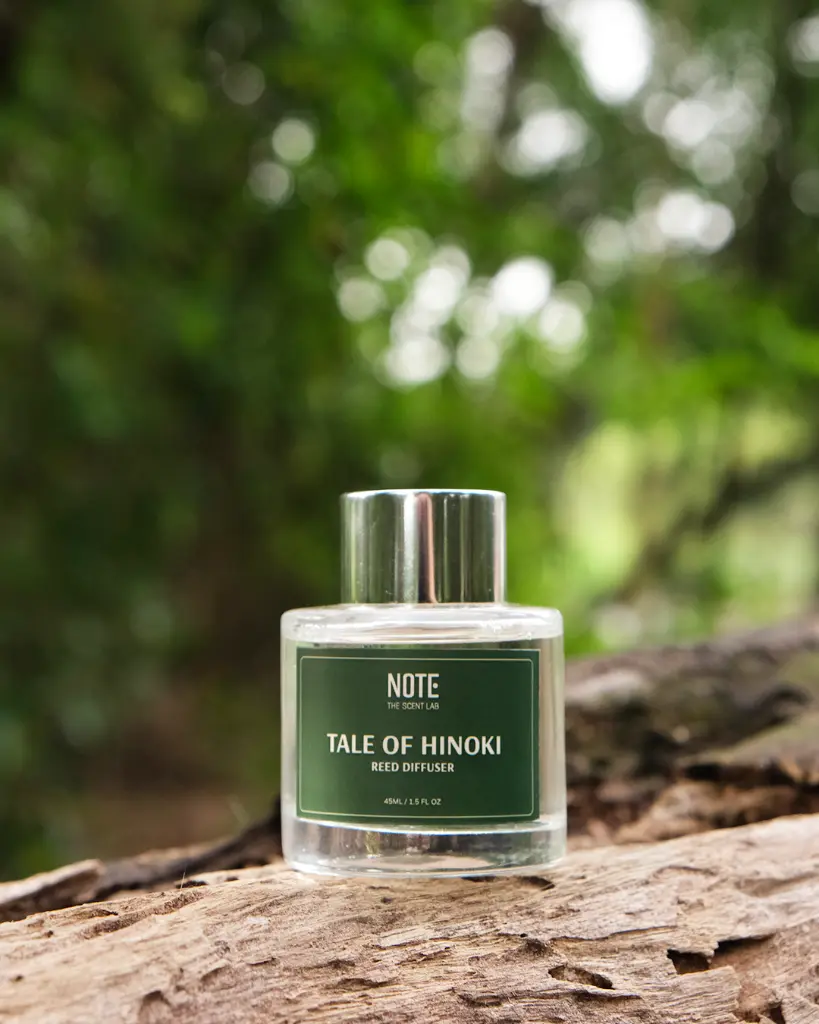 FACEBOOK - feed 17 TOH.webp