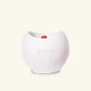 NOTE - Scented Candle (Artistry): Ocha