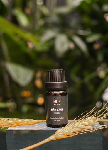 NOTE - Essential Oil: Mầm Xanh